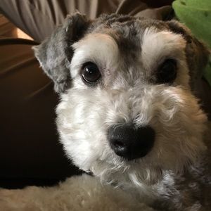 Meet your Posher, Evelyn